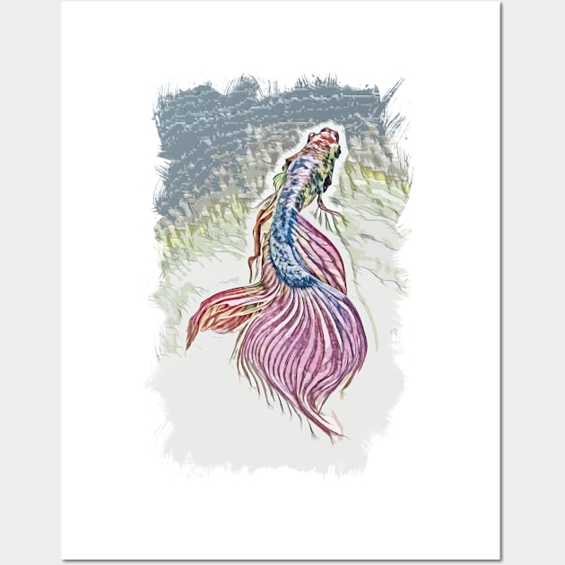 Siamese fighting fish (Betta splendens) / BETTA Wall Art by Naumovski